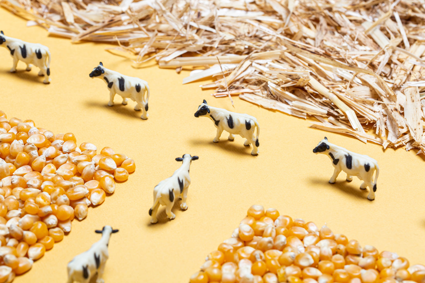 Bouteille sensorielle ♫ / "Ferme"