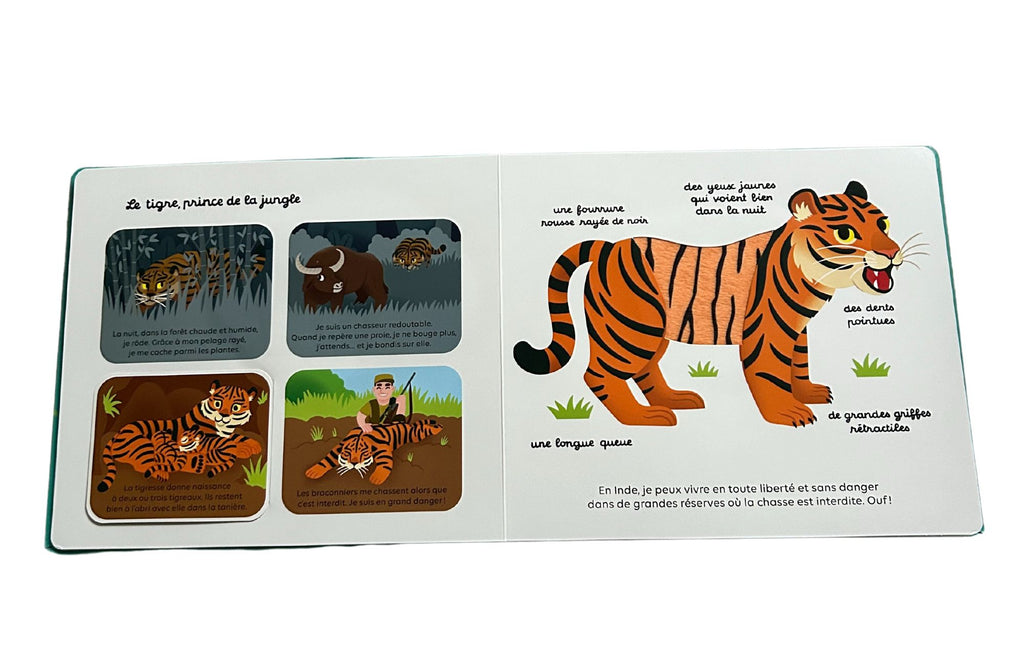 Livre "Docu à toucher" : Les animaux à protéger