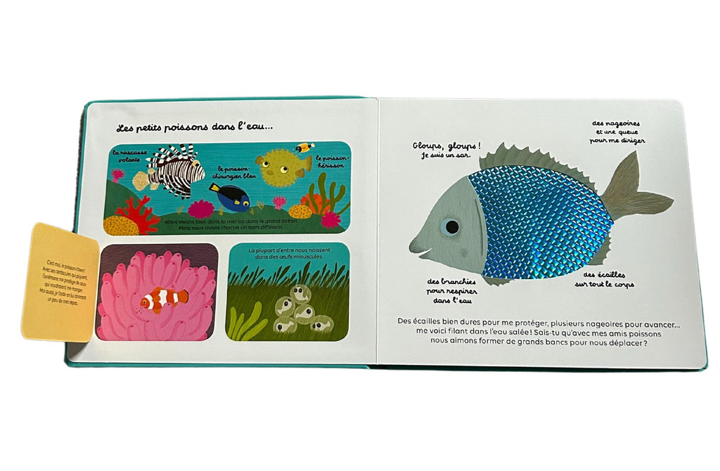 Livre "Docu à toucher" : Les animaux des mers