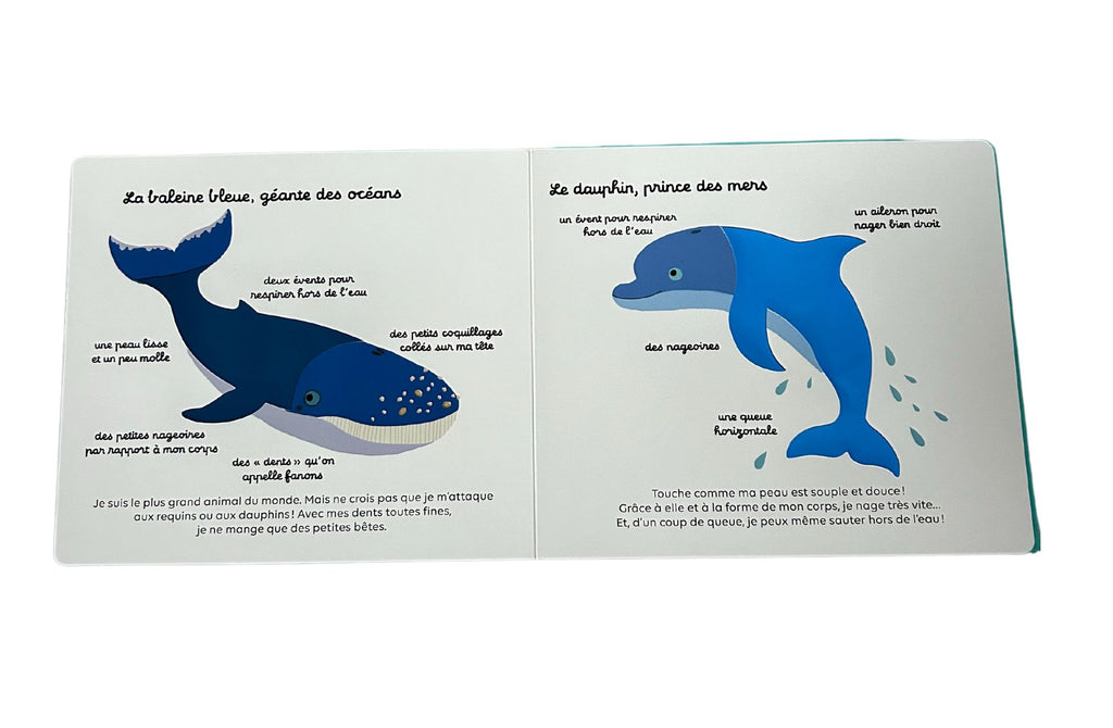 Livre "Docu à toucher" : Les animaux des mers
