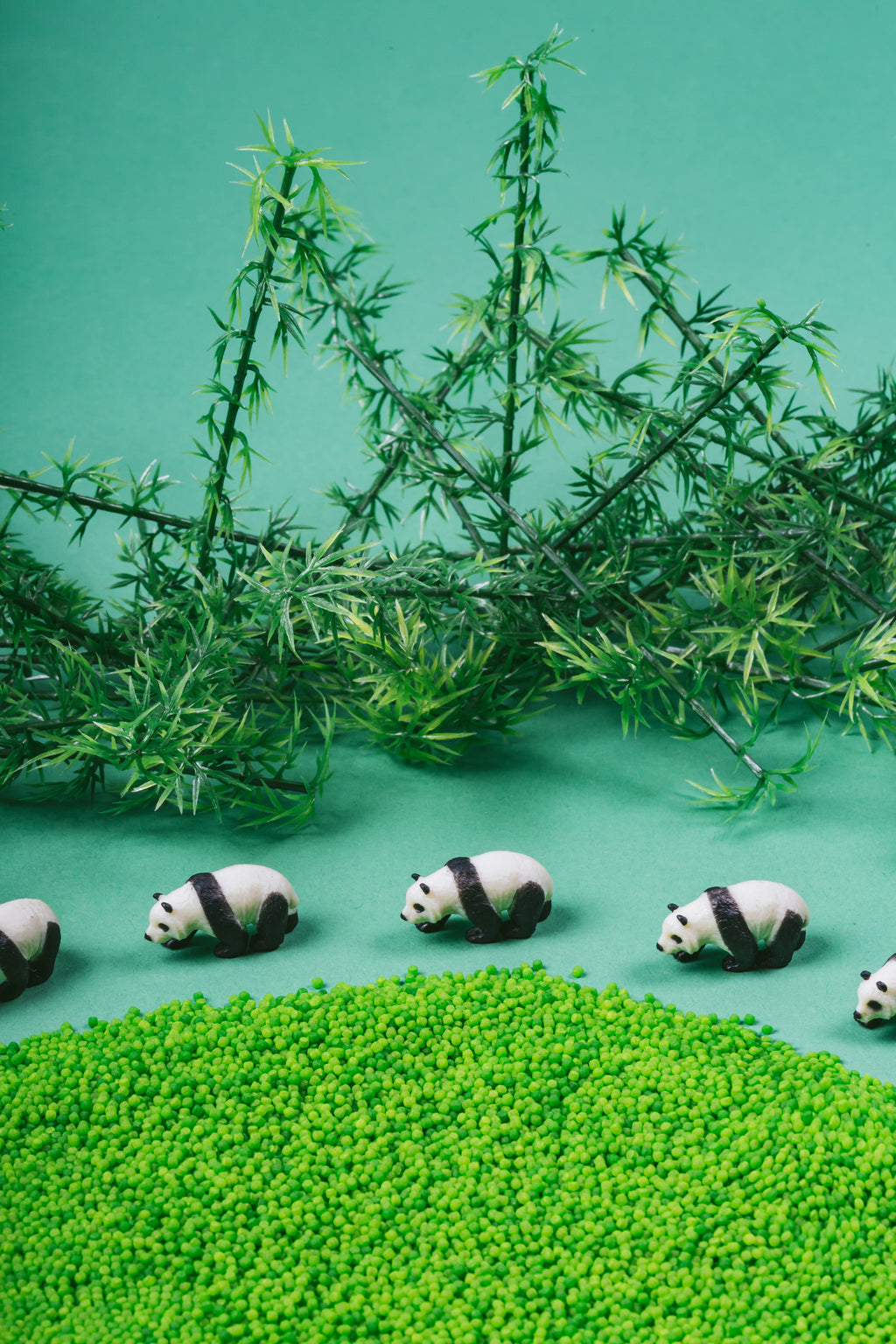 Bouteille sensorielle ♫ /  "Panda"