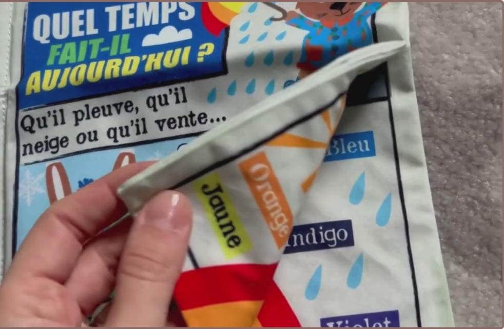 Mon petit journal " Ma petite météo "